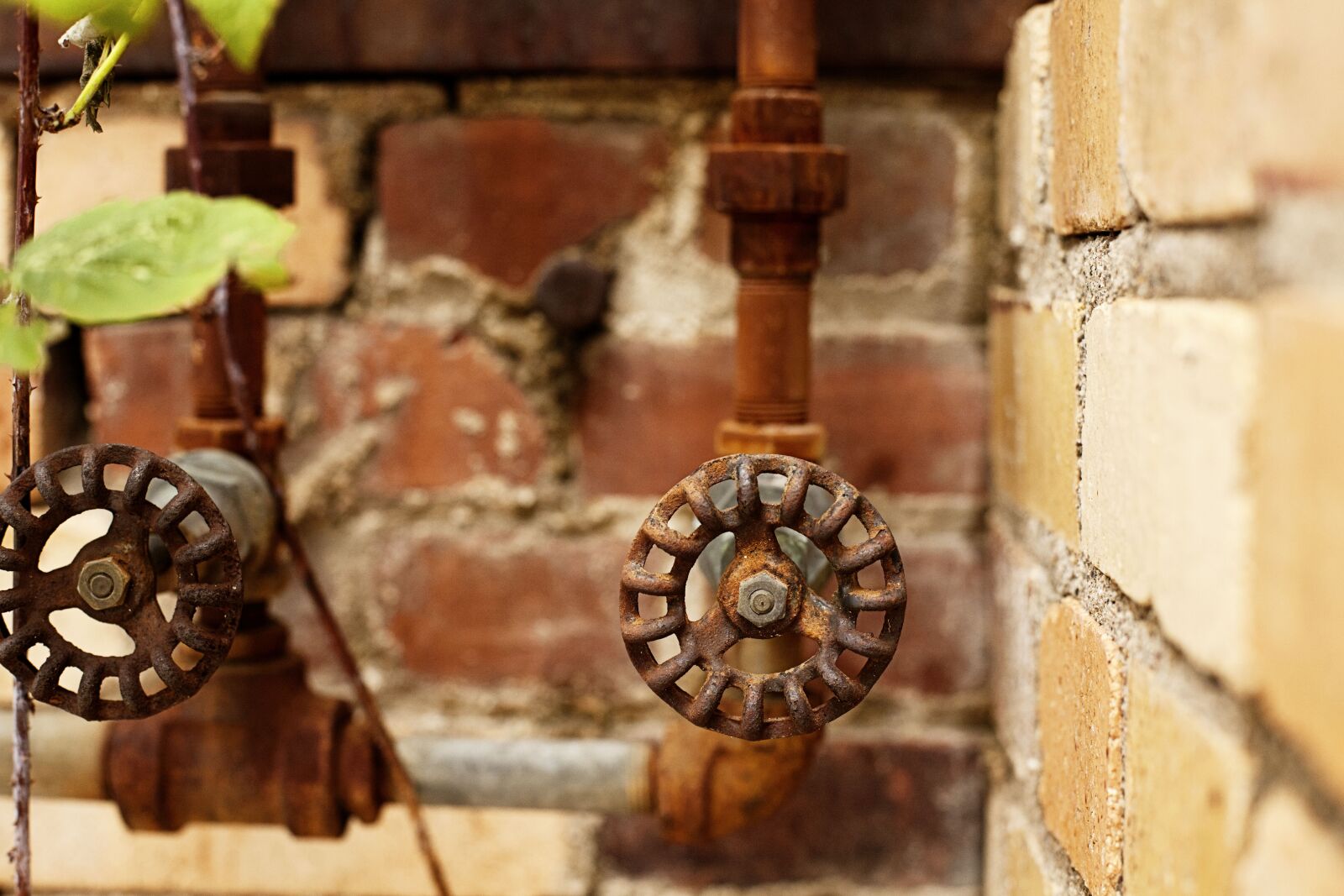 Canon EF 50mm F1.4 USM sample photo. Abstract, old, reclaimed photography