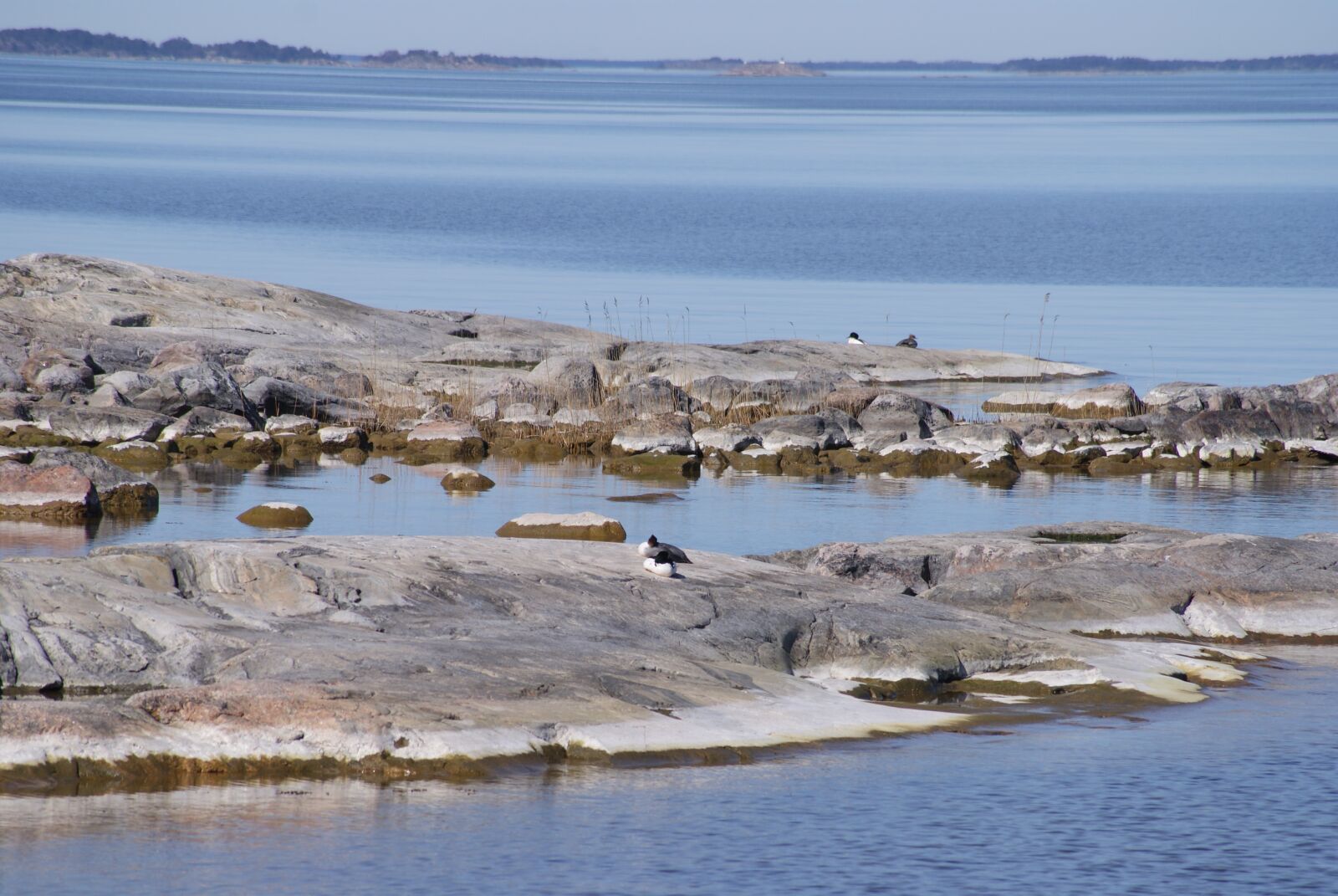 Sony Alpha DSLR-A300 sample photo. Sea, shoreline, water photography