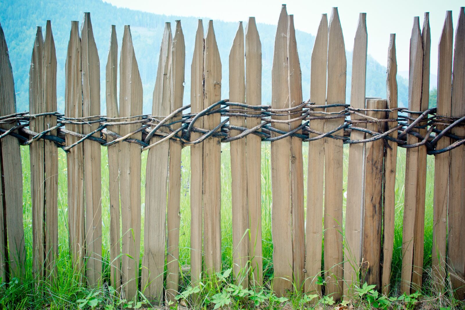 Nikon D7100 sample photo. Fence, wood fence, battens photography