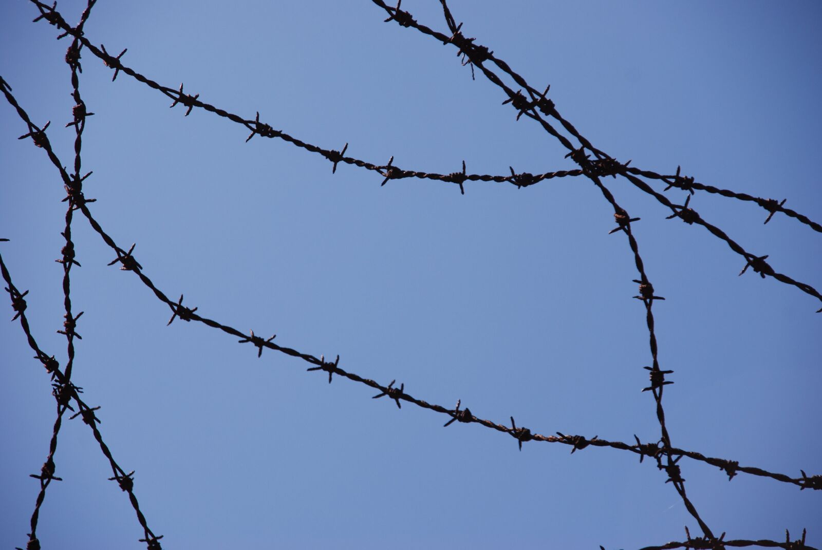 Nikon D80 sample photo. Concentration camp, war, second photography