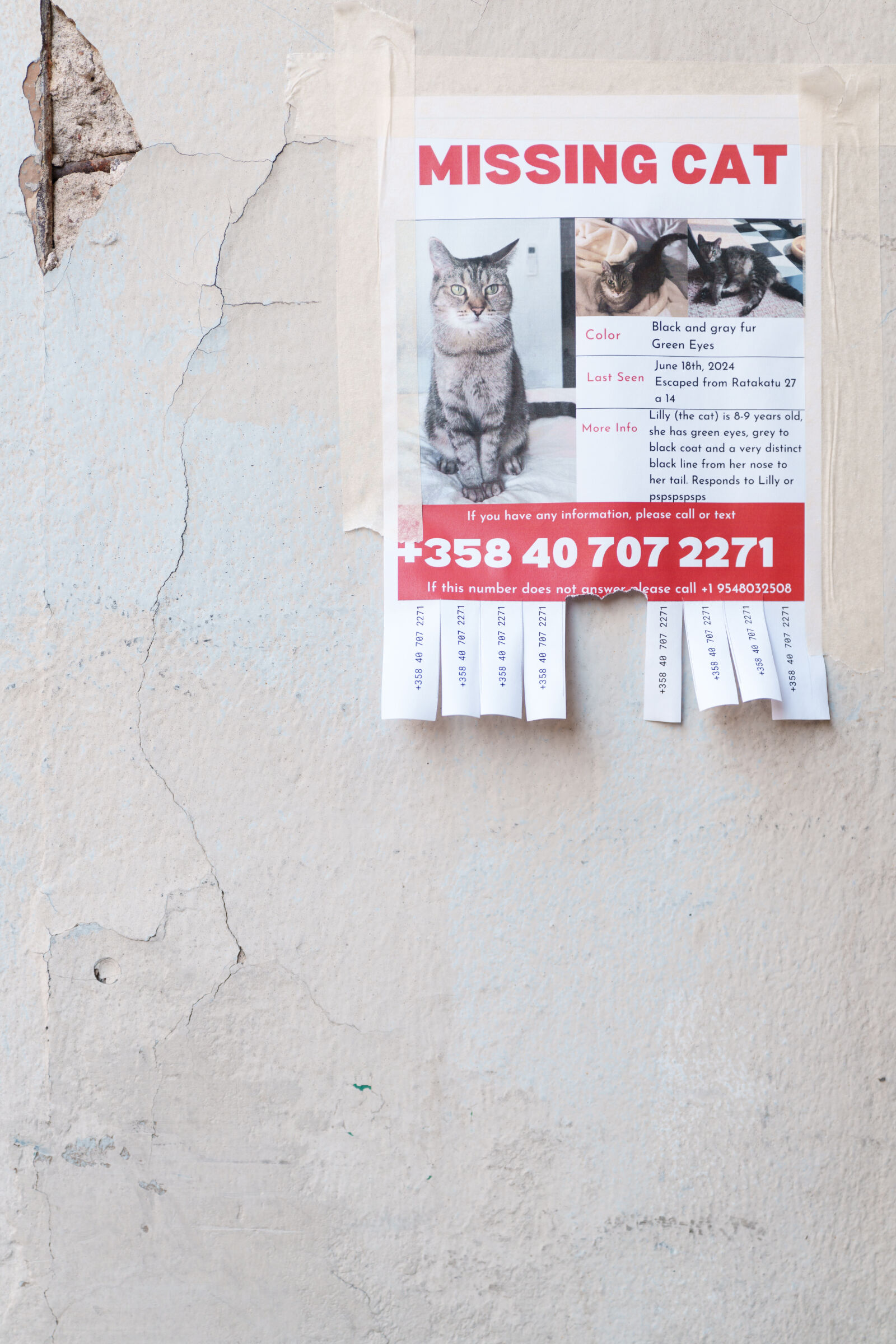 Sigma 28-45mm F1.8 DG DN Art sample photo. Missing cat poster photography