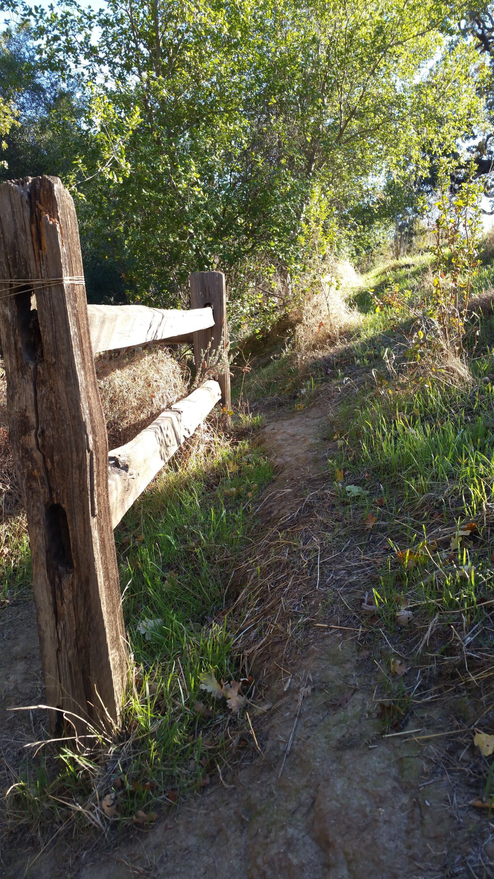 Samsung Galaxy Note4 sample photo. Fence, grass, path, trees photography