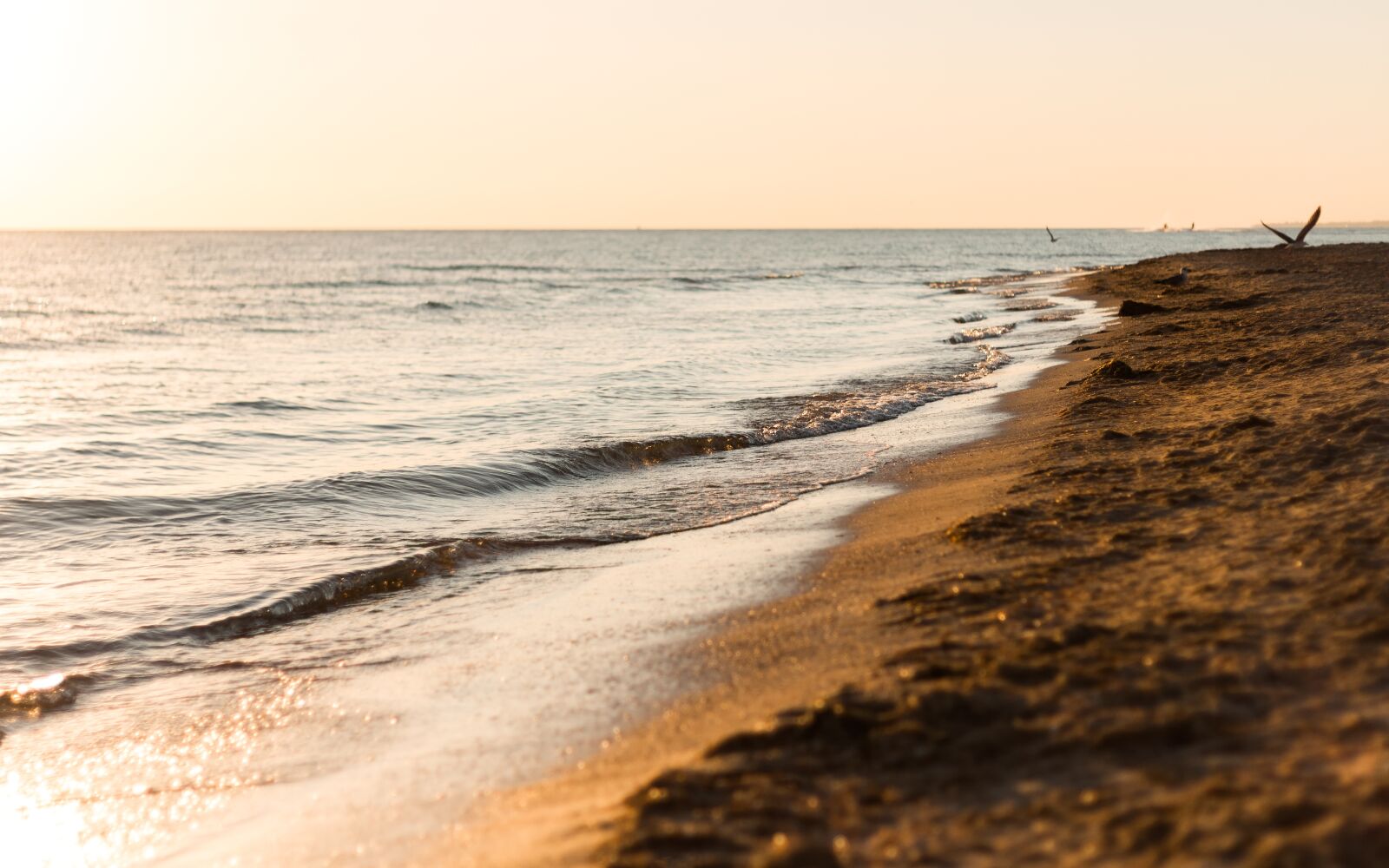 Canon EOS 650D (EOS Rebel T4i / EOS Kiss X6i) sample photo. Beach, sand, waves photography