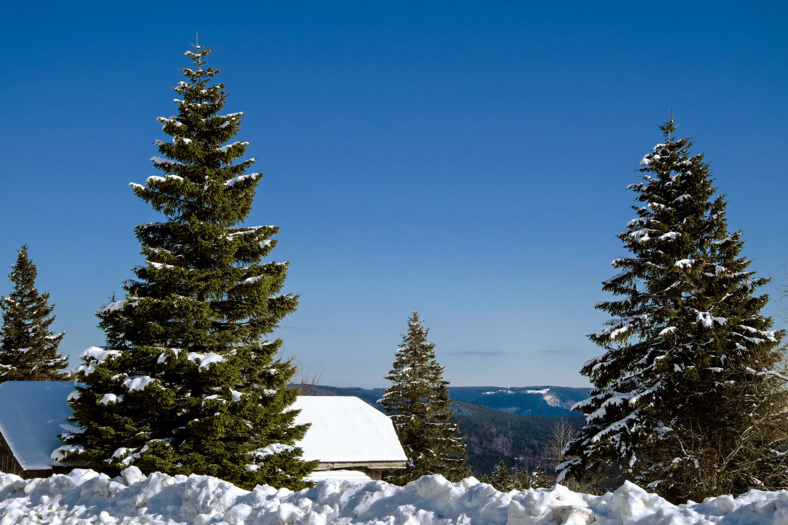 Fujifilm X-T10 sample photo. Black forest, kandel, mountain photography