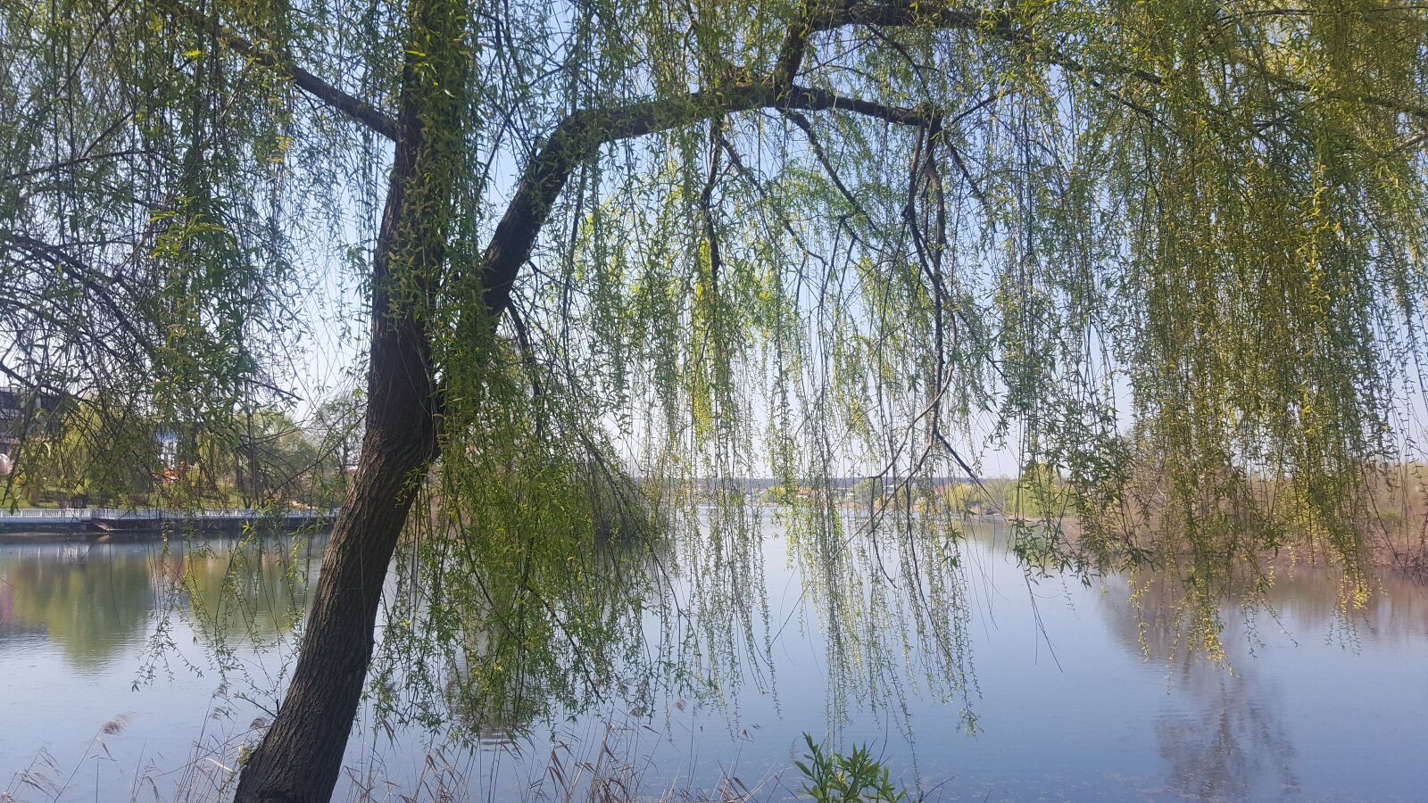 Samsung Galaxy S6 sample photo. Lake, view, walk photography