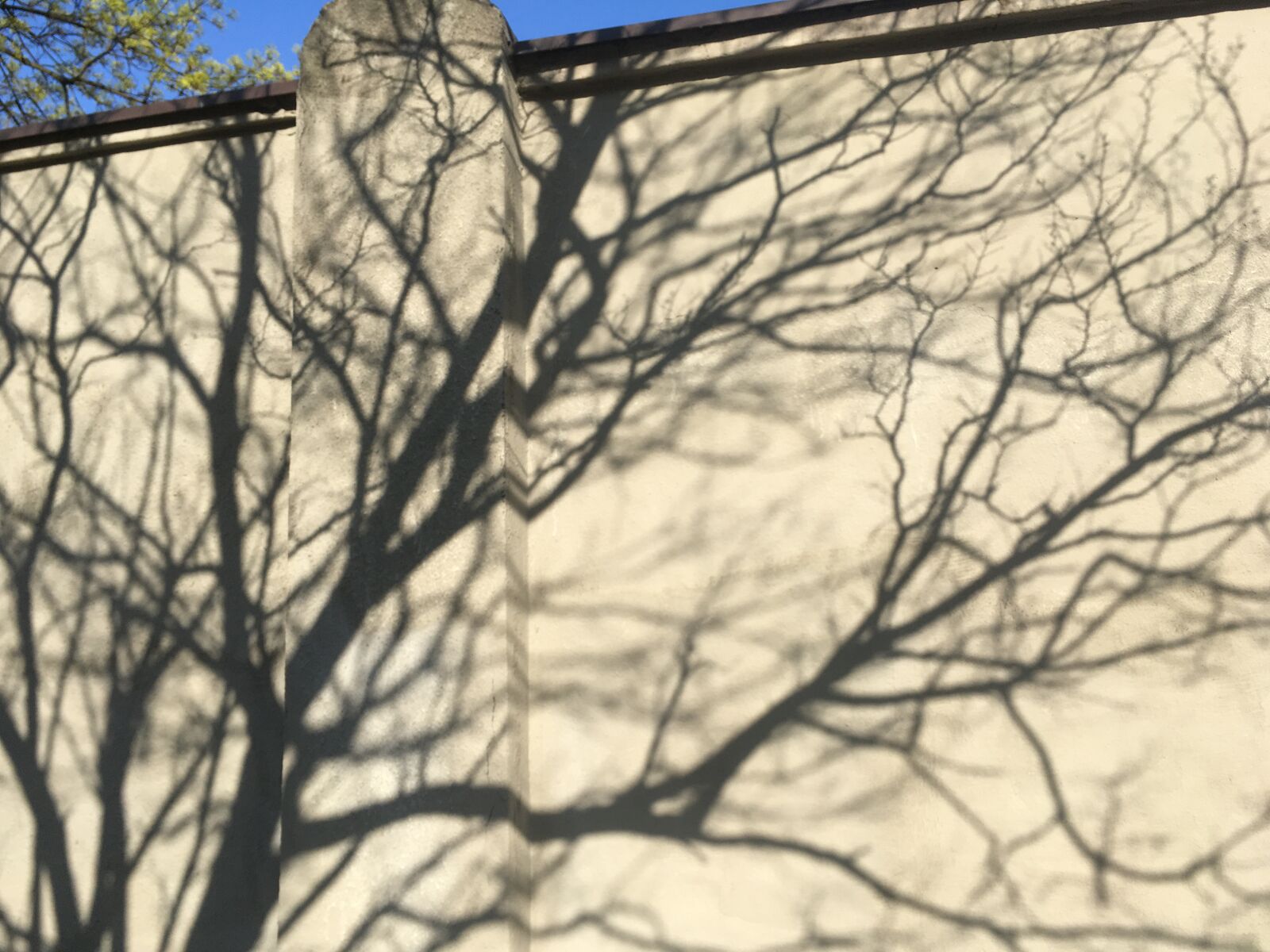 iPhone SE back camera 4.15mm f/2.2 sample photo. Shadow, lake dusia, architecture photography