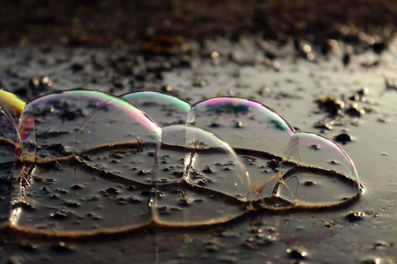 Canon EOS 100D (EOS Rebel SL1 / EOS Kiss X7) sample photo. Puddle, soap bubbles, blow photography
