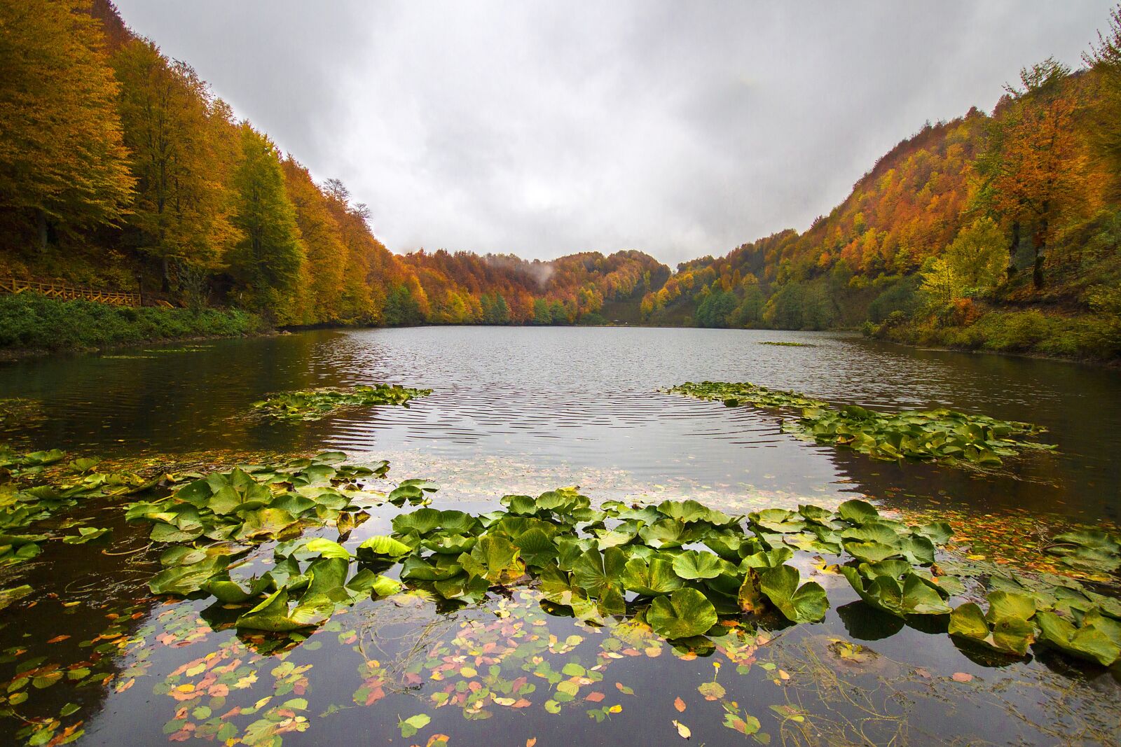 Canon EOS 7D sample photo. Body of water, river photography