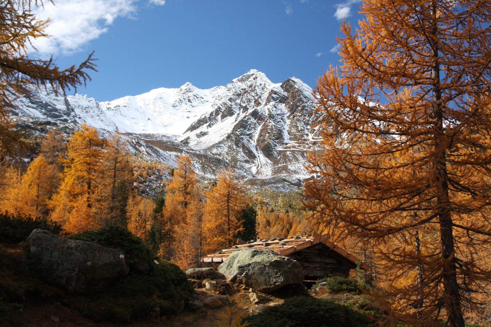 Canon EOS 40D sample photo. Nature, wood, landscape photography
