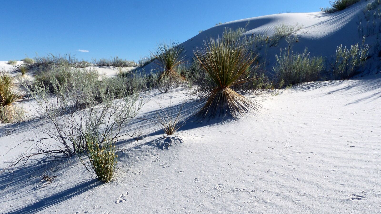 Panasonic Lumix DMC-FZ200 sample photo. Nature, dunes, desert photography