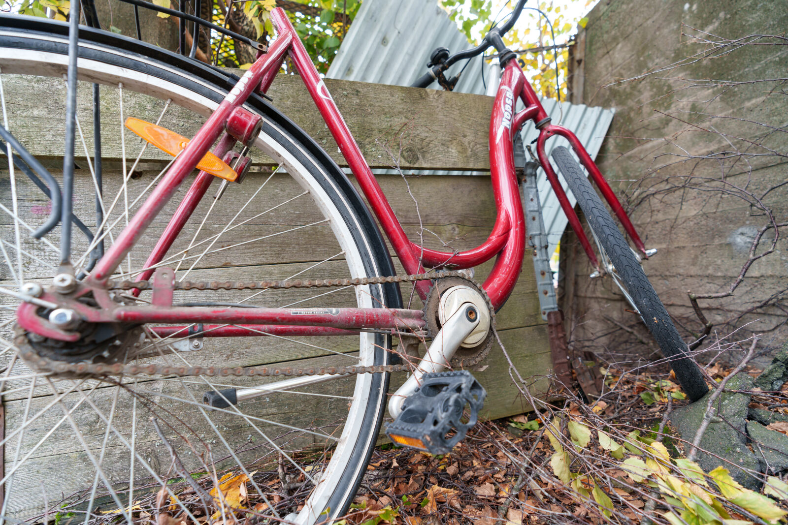 Sony a7R V sample photo. Wide angle backyard bicycle photography