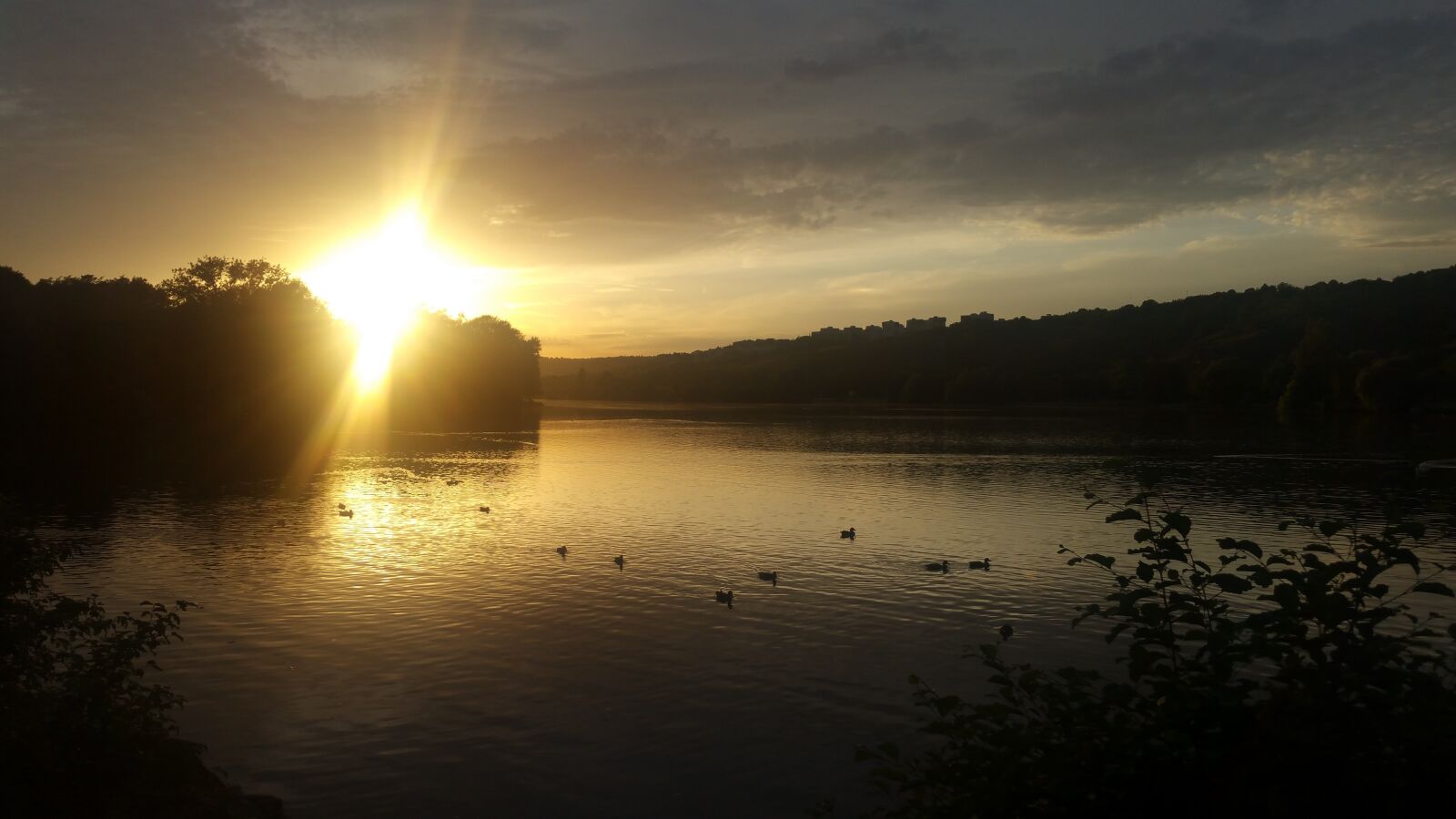 Samsung Galaxy Note4 sample photo. Sun, sunset, duck birds photography