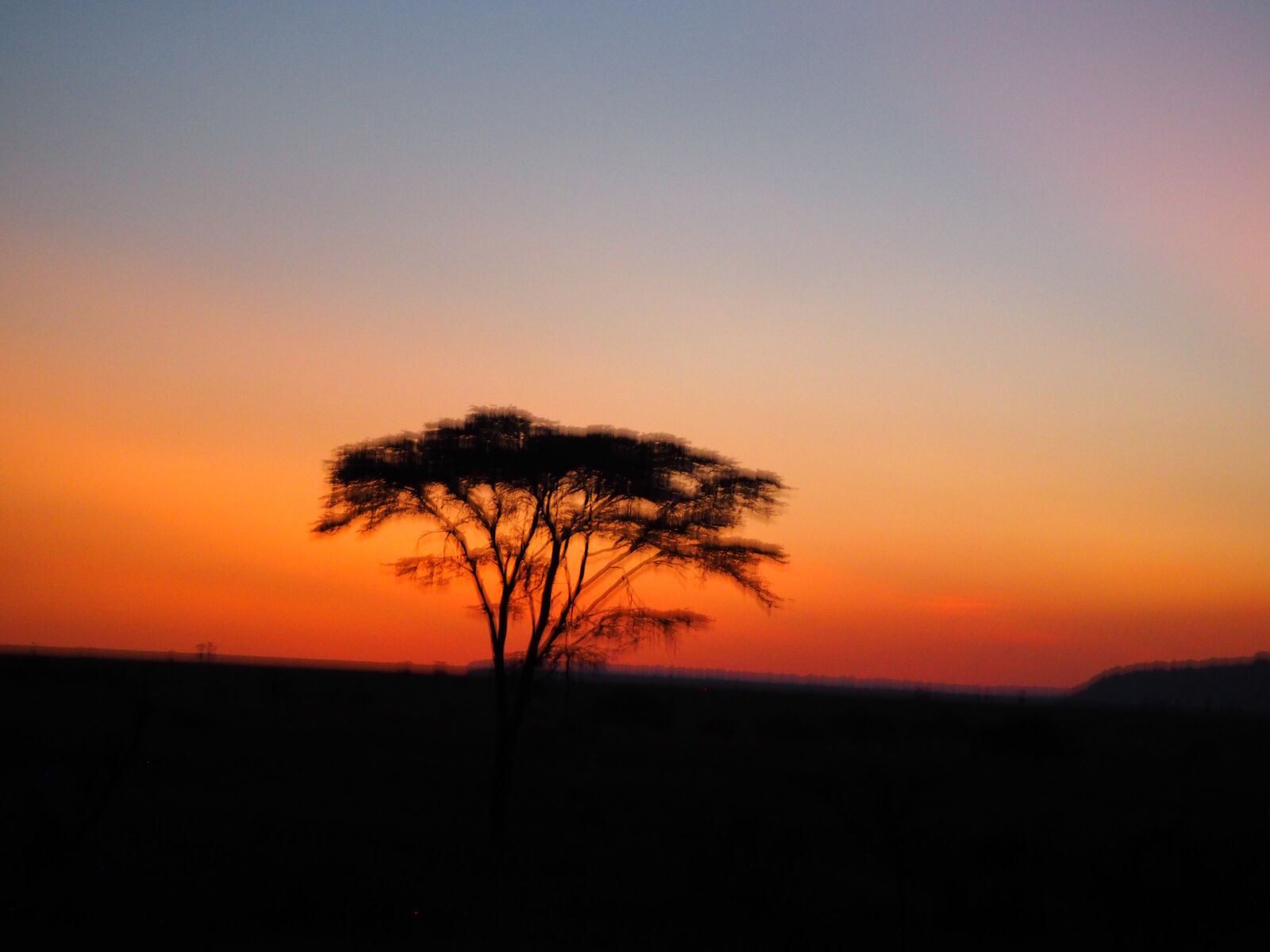 Olympus M.Zuiko ED 75-300mm F4.8-6.7 II sample photo. Sunset on the masai photography