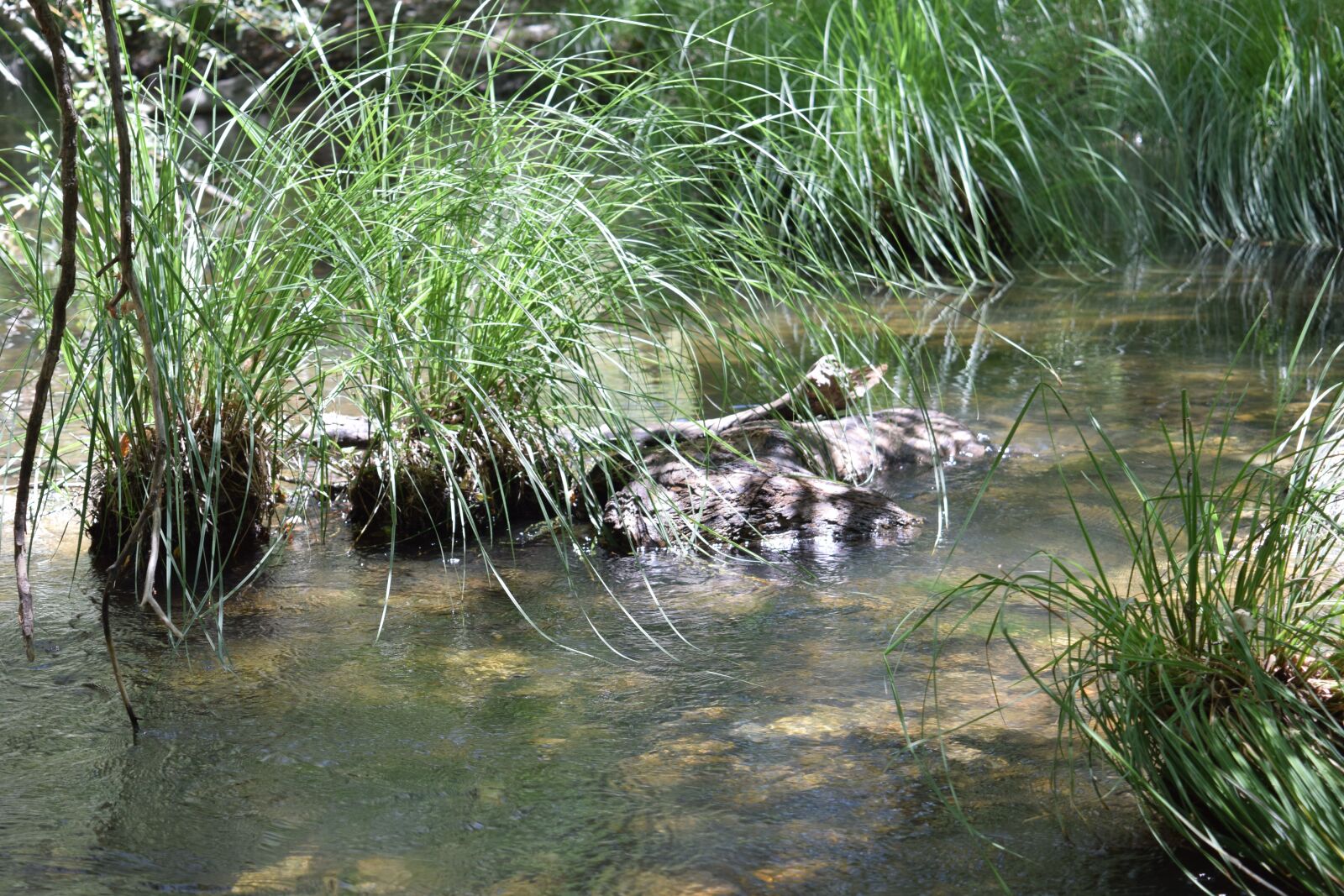 Nikon D3300 sample photo. Water, peace, meditation photography