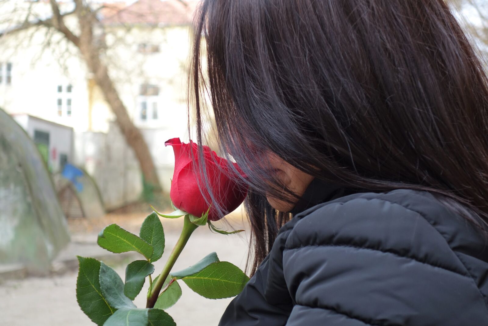 Sony Cyber-shot DSC-RX100 II sample photo. Girl with red rose photography