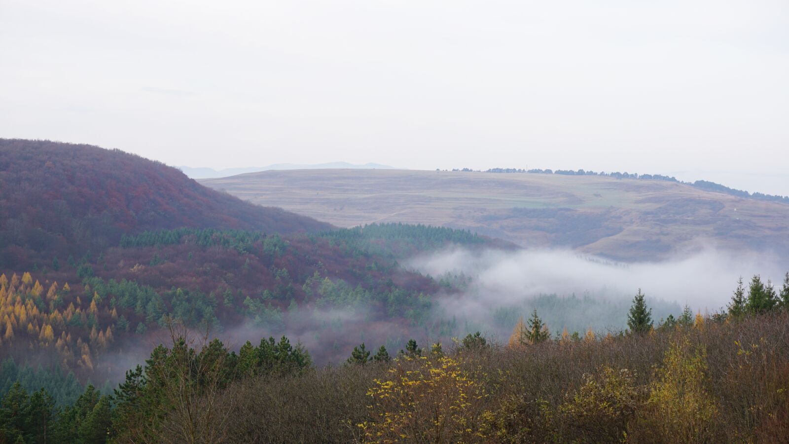 Sony E 16-50mm F3.5-5.6 PZ OSS sample photo. Autumn, transilvania, forest photography