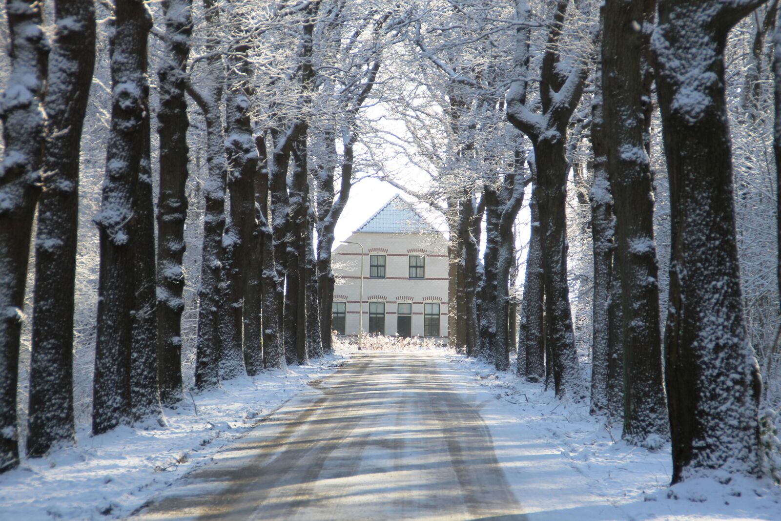 Canon EOS 1100D (EOS Rebel T3 / EOS Kiss X50) sample photo. Winter, snow, snow landscape photography