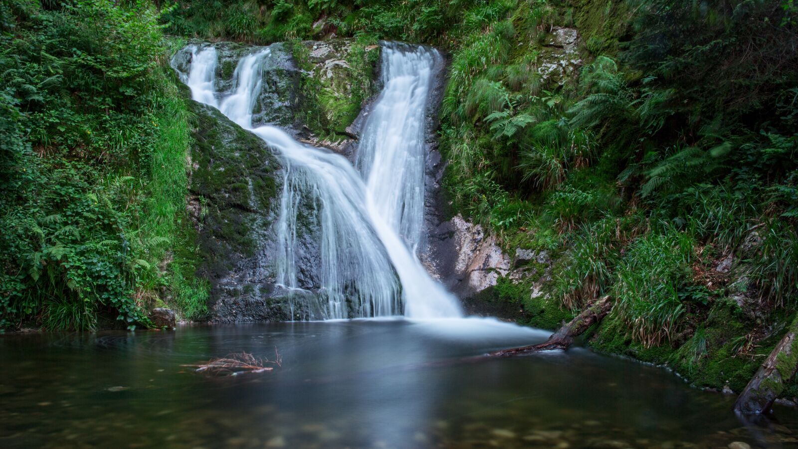 Canon EOS 5D Mark III sample photo. Black forest, nature, landscape photography