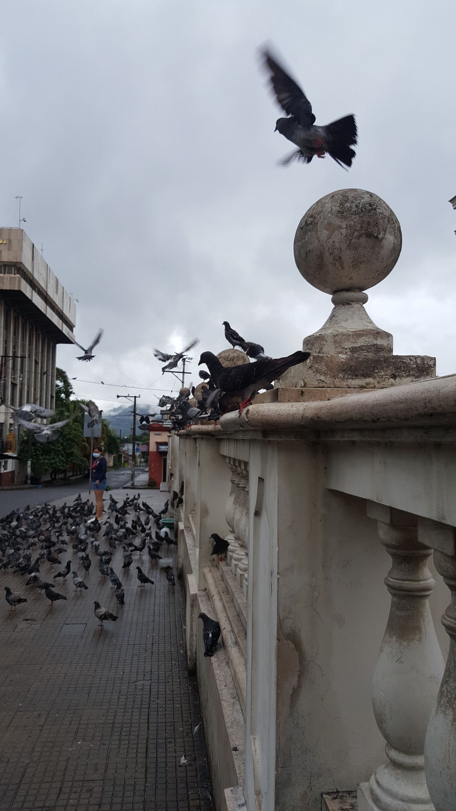 Samsung Galaxy Note5 sample photo. Dove, building, church photography