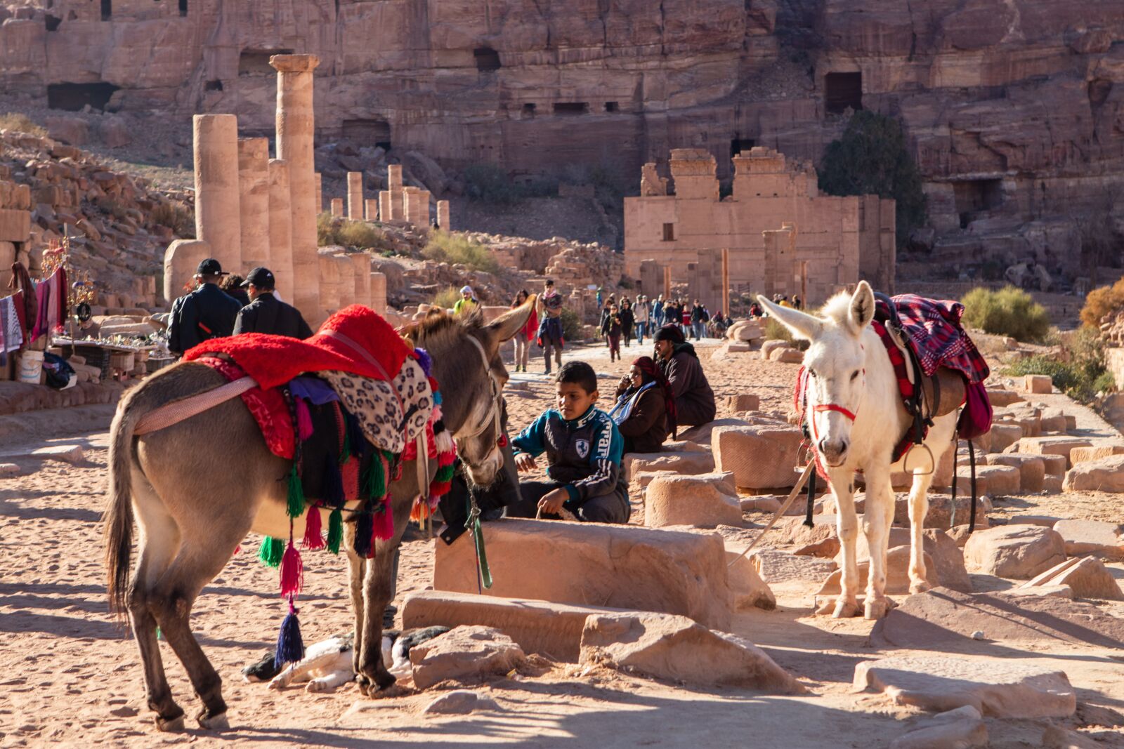 Canon EOS 200D (EOS Rebel SL2 / EOS Kiss X9) sample photo. Petra, donkeys, transport photography