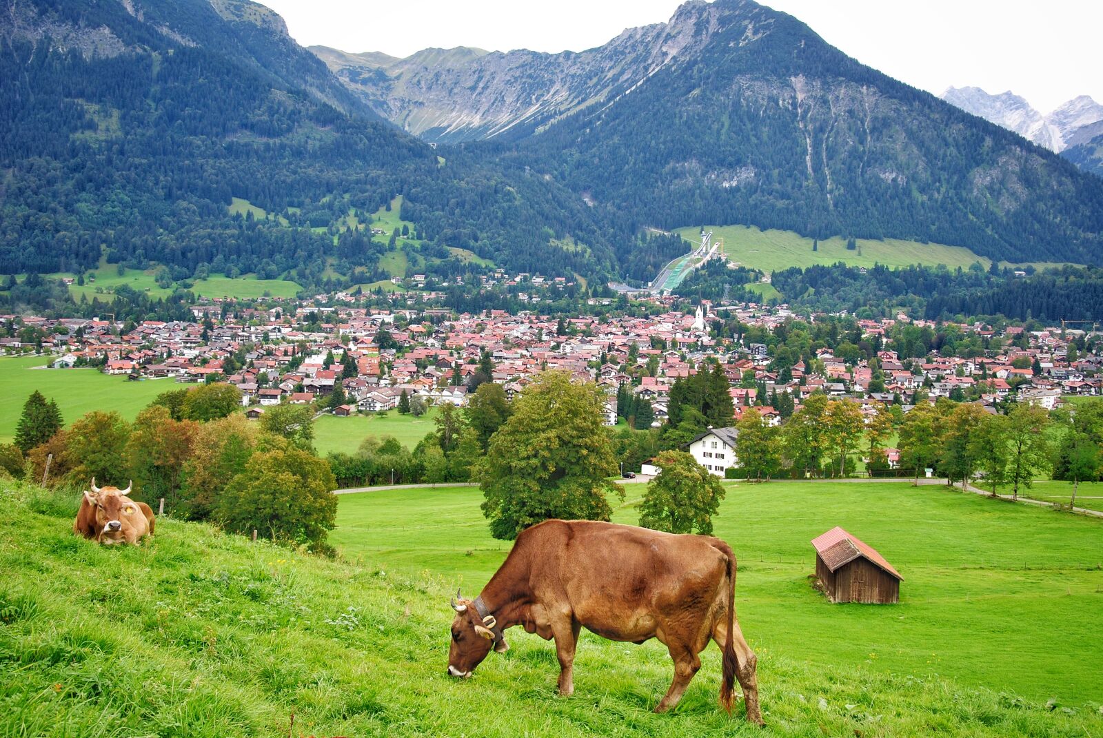 Nikon D3000 sample photo. Allgäu, mountains, landscape photography