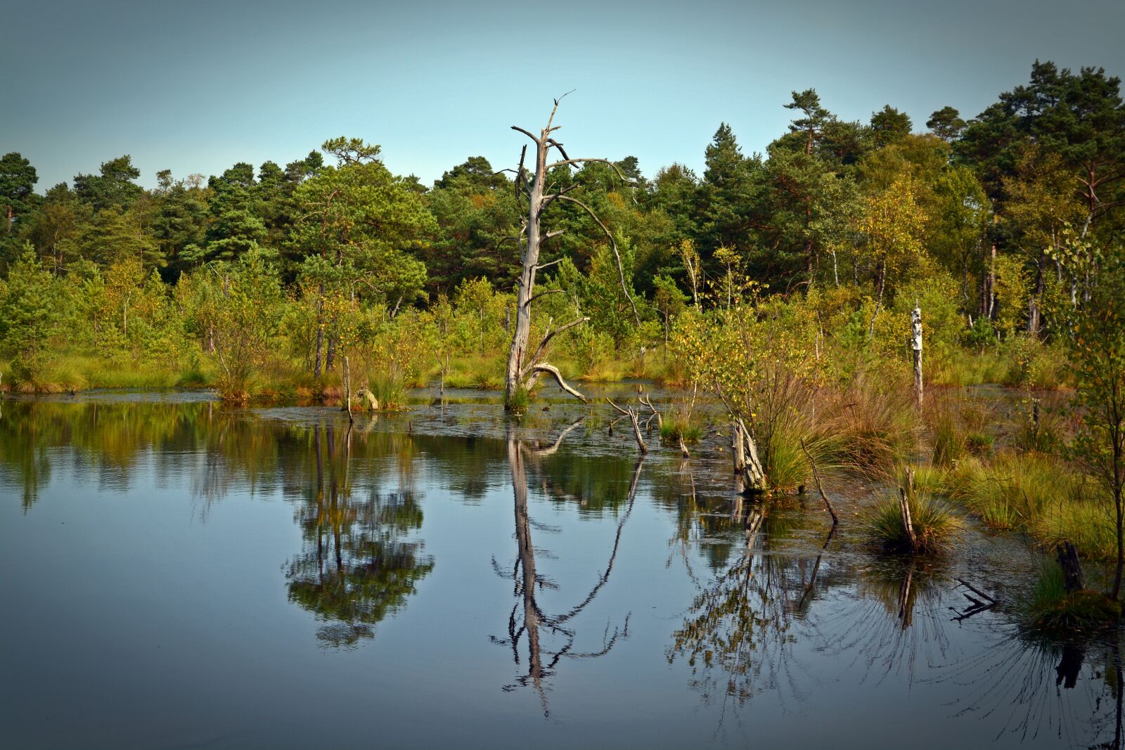 Nikon D5200 sample photo. Moor, mirroring, water photography