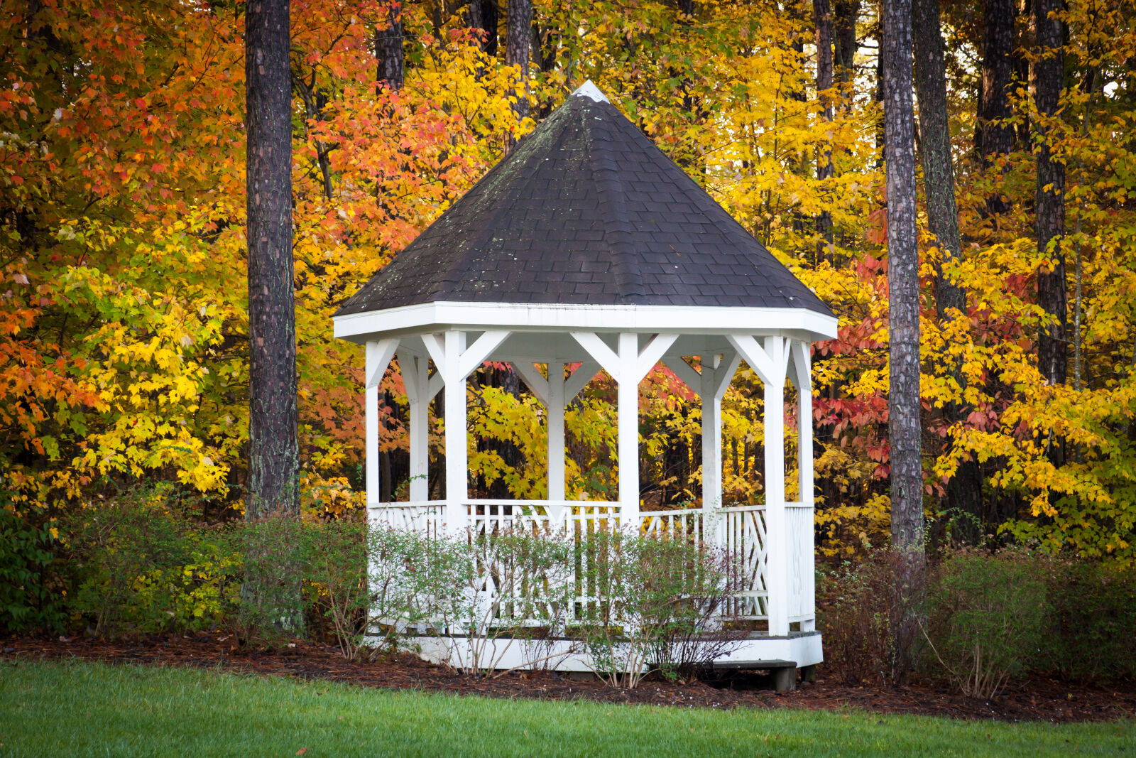 Canon EF 75-300mm f/4-5.6 sample photo. Fall, fall, colors, gazebo photography