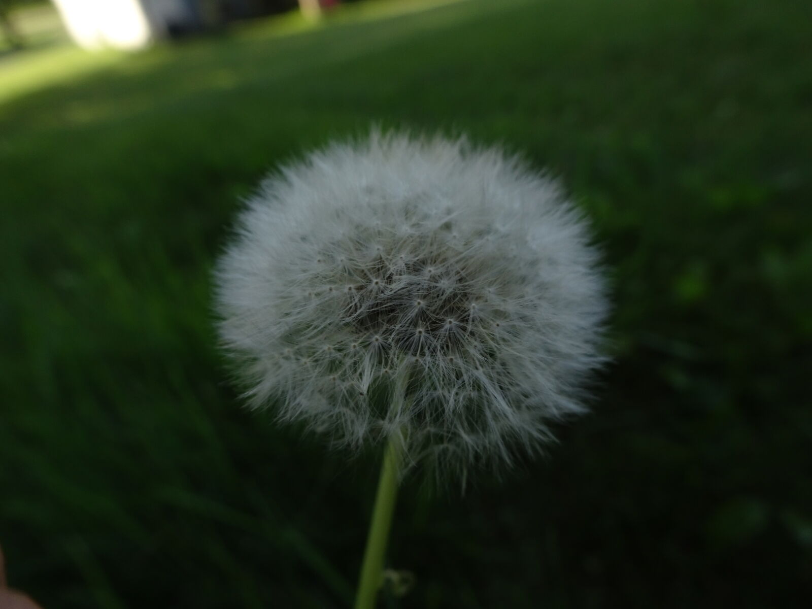 Sony Cyber-shot DSC-WX500 sample photo