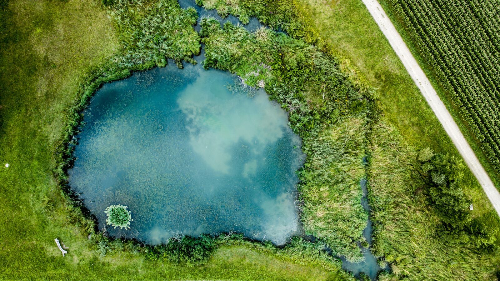 DJI FC6310 sample photo. Lake, aerial view, nature photography