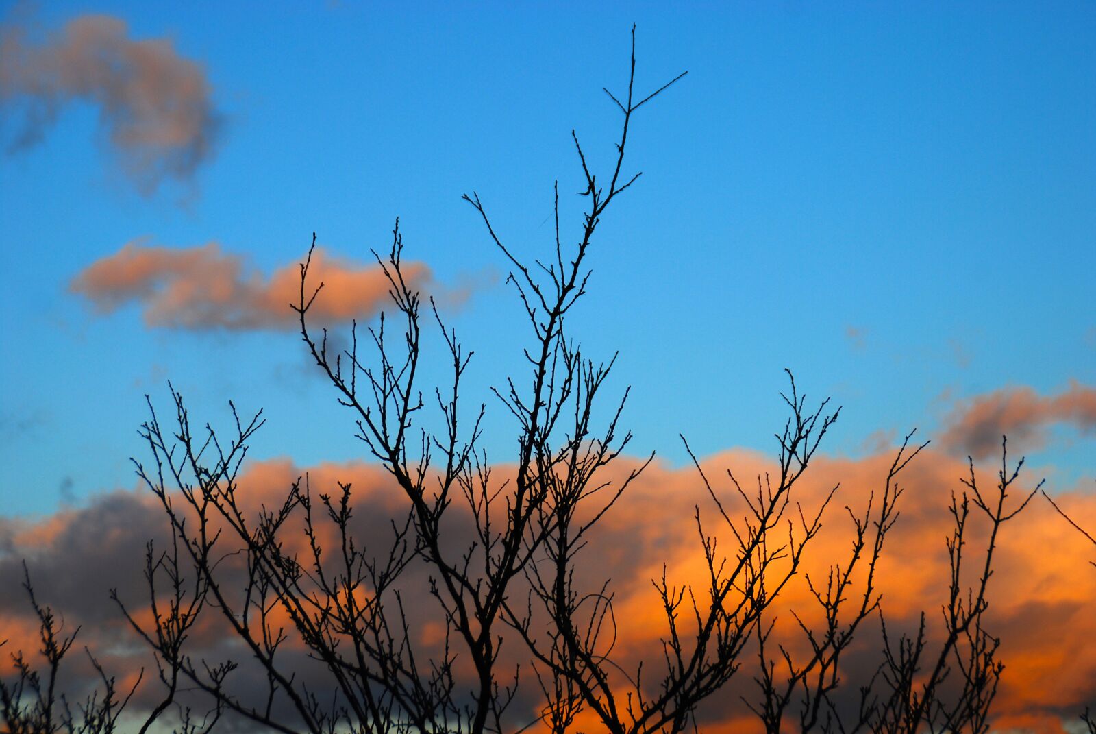 Nikon D40X sample photo. Sky, cloud, blue photography