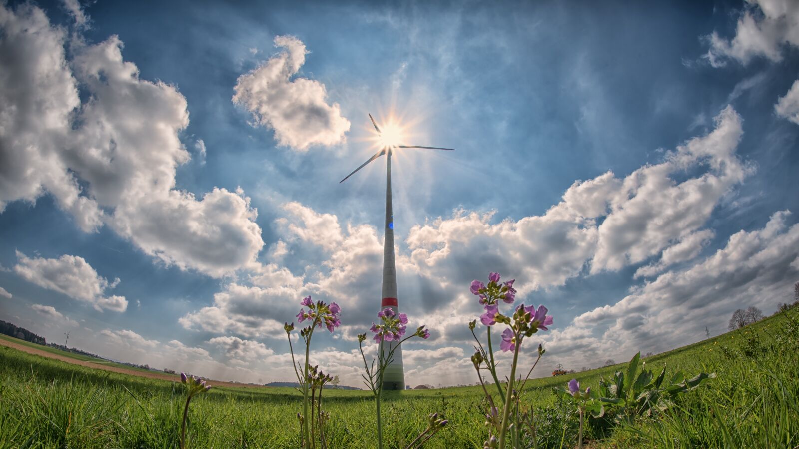 Nikon D750 sample photo. Pinwheel, sun, sunbeam photography