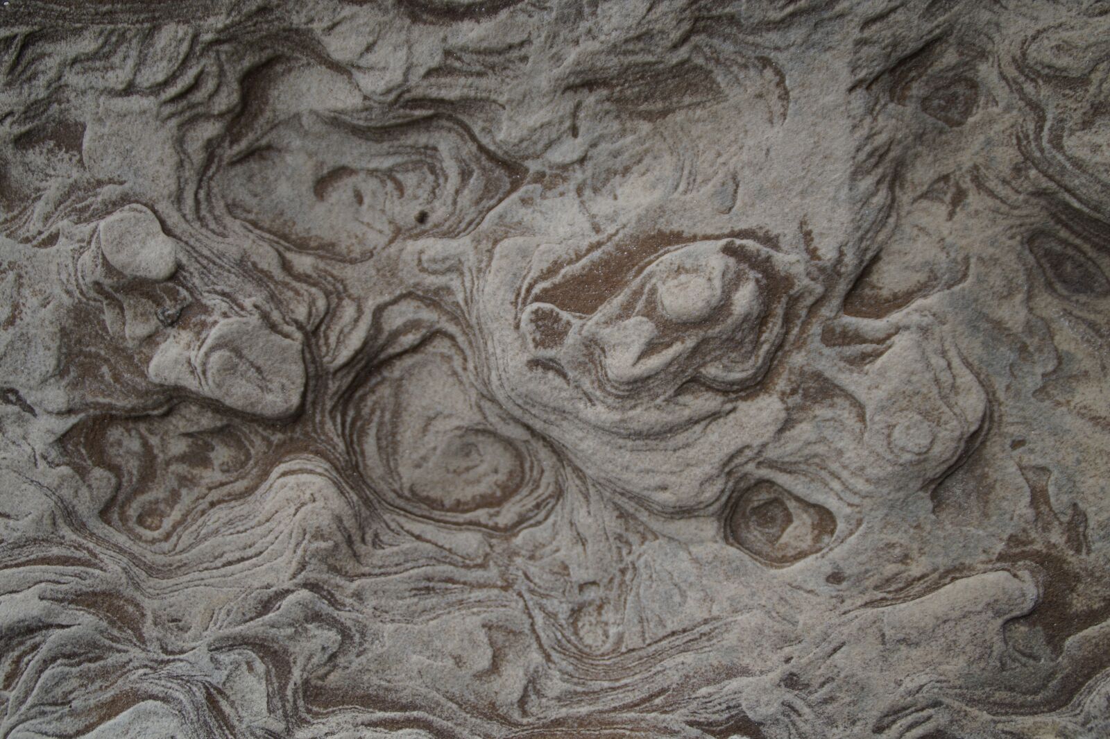 Sony SLT-A58 sample photo. Structure, texture, background photography