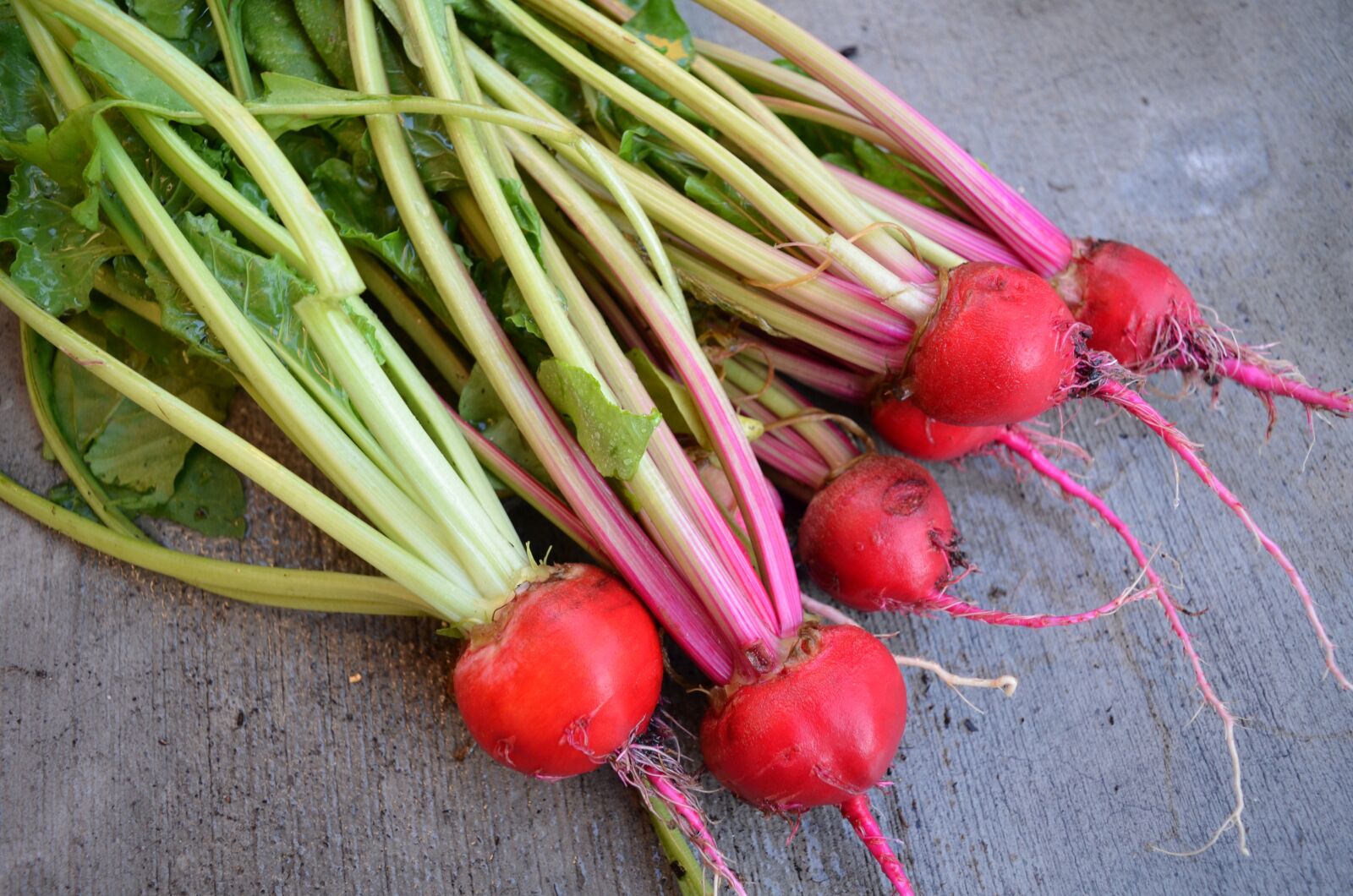 Nikon D7000 sample photo. Beets, harvest, organic photography