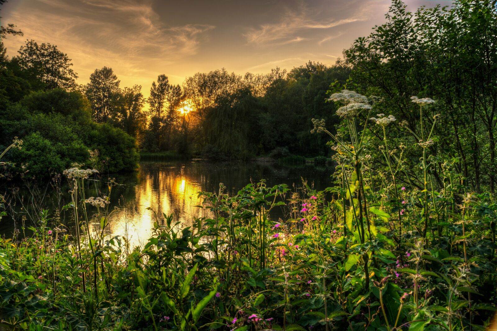 Nikon D7200 sample photo. Sunset, scenic, landscape photography