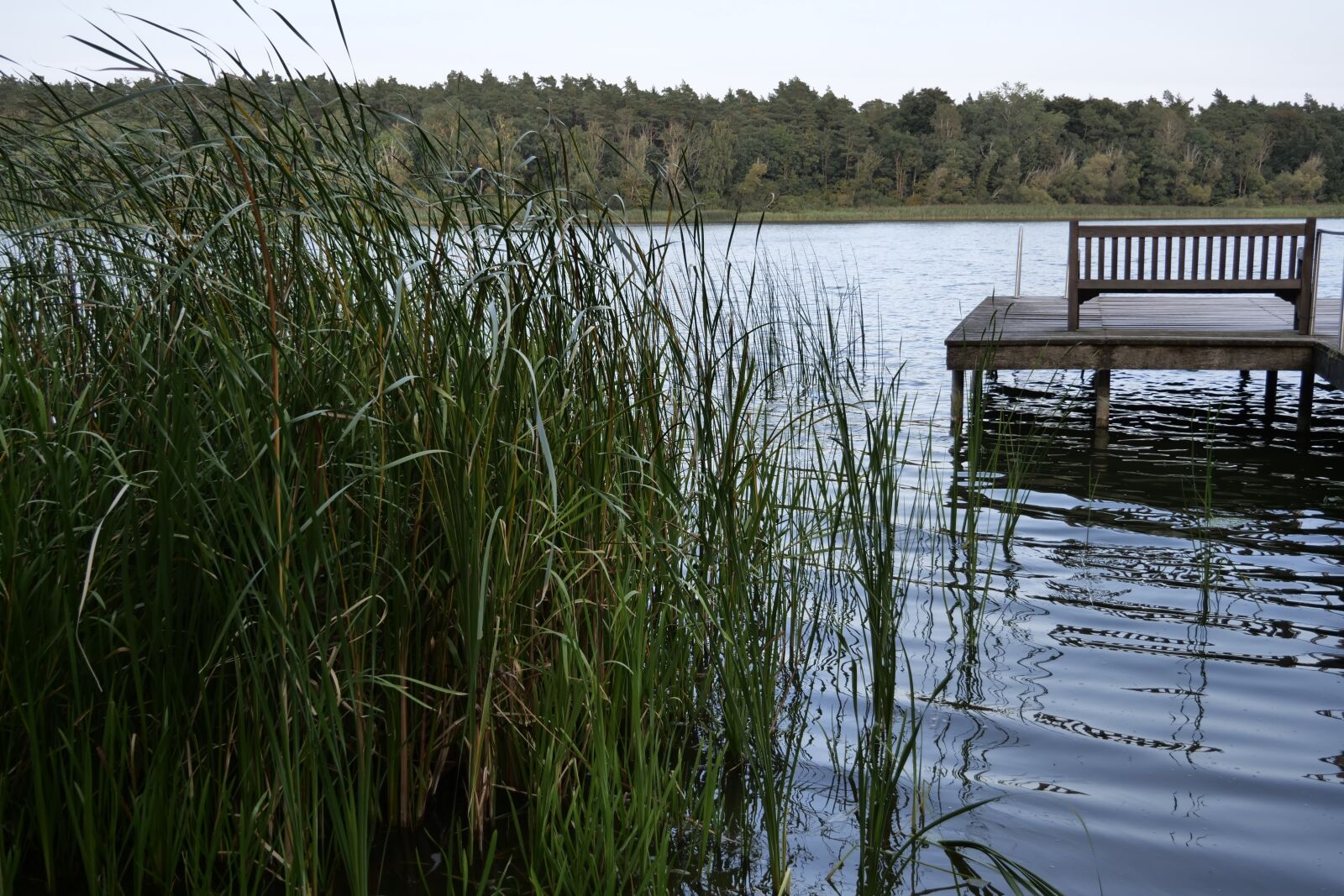 Panasonic Lumix DC-G9 sample photo. Nature, landscape, water photography