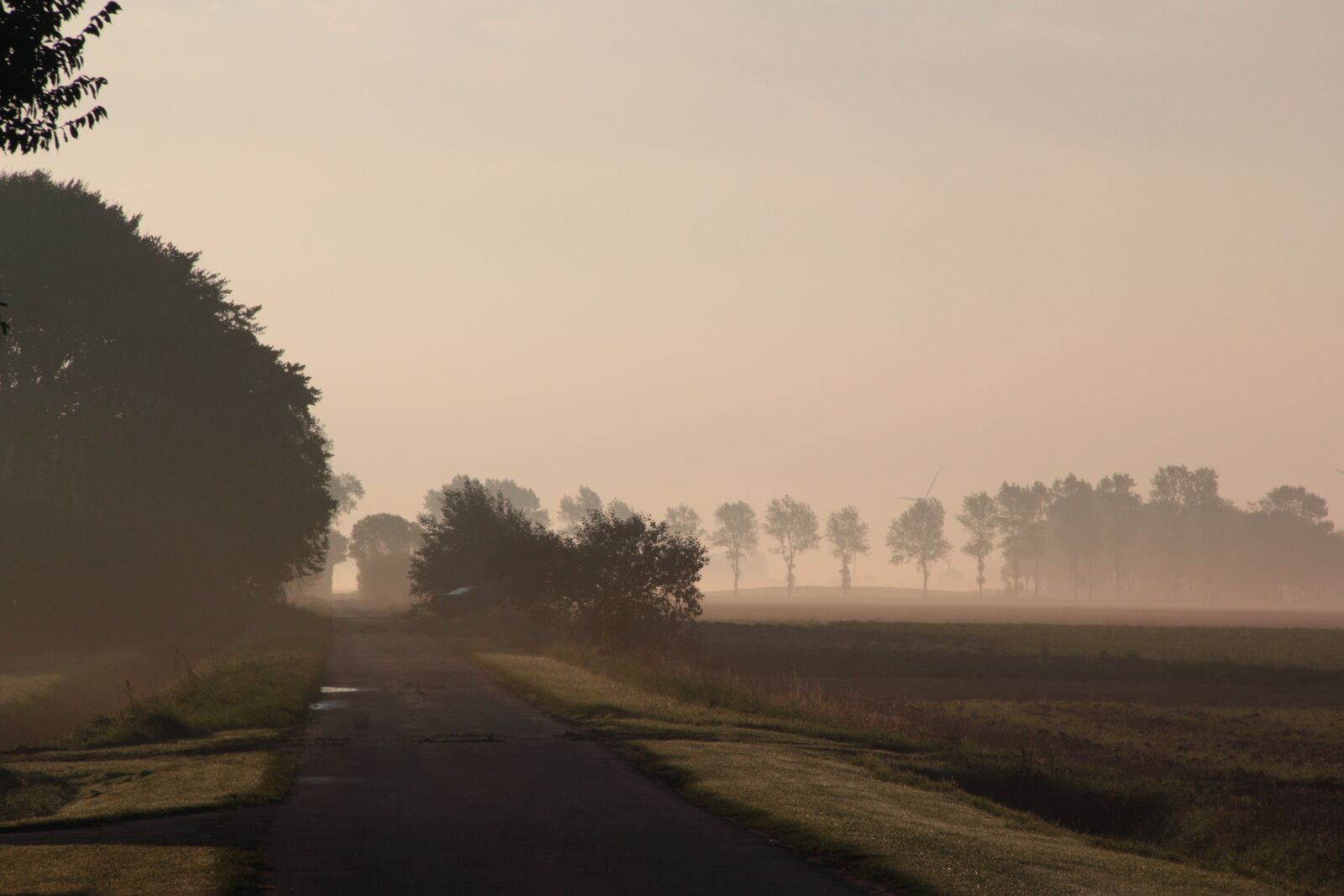 Canon EOS 550D (EOS Rebel T2i / EOS Kiss X4) sample photo. Sunrise, morgenstimmung, nature photography