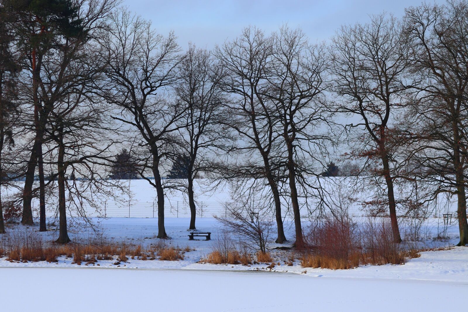 Canon EOS 200D (EOS Rebel SL2 / EOS Kiss X9) sample photo. Wintry, lakeside, frozen photography