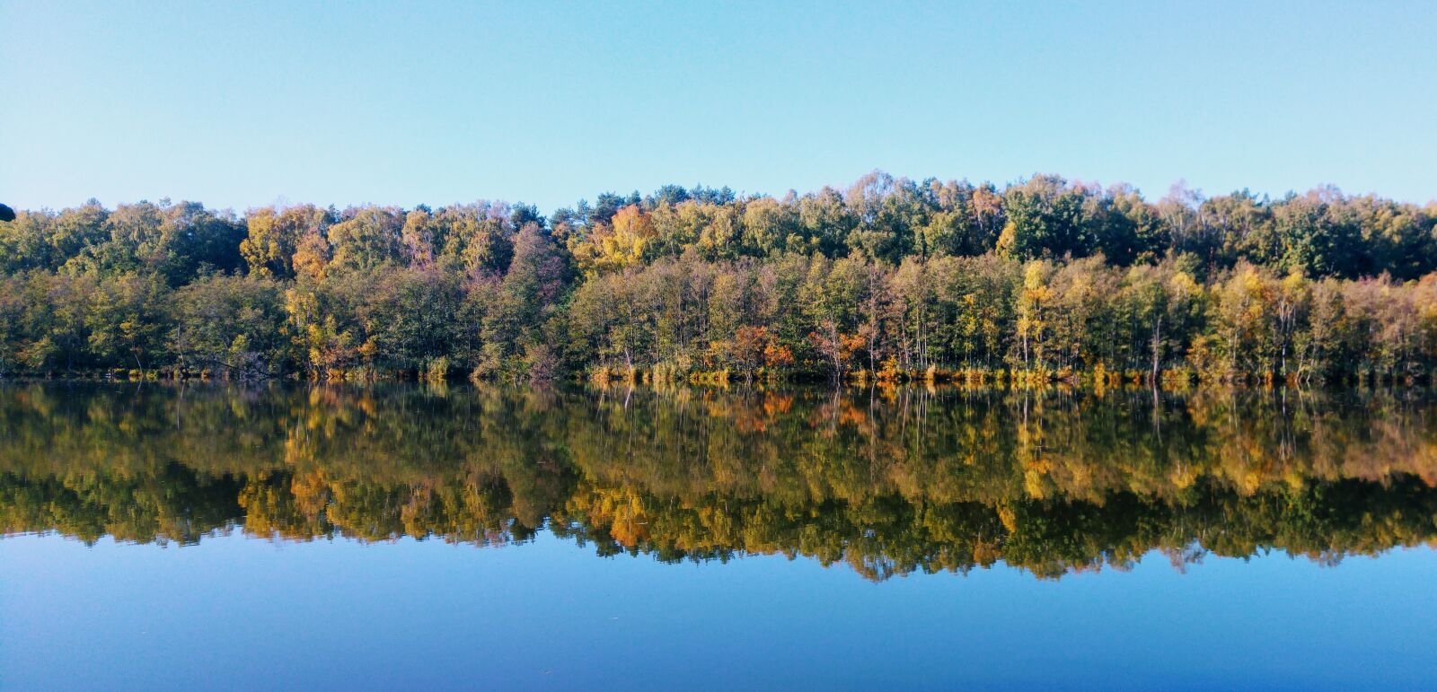 LG G4 sample photo. Germany, brandenburg, lake photography