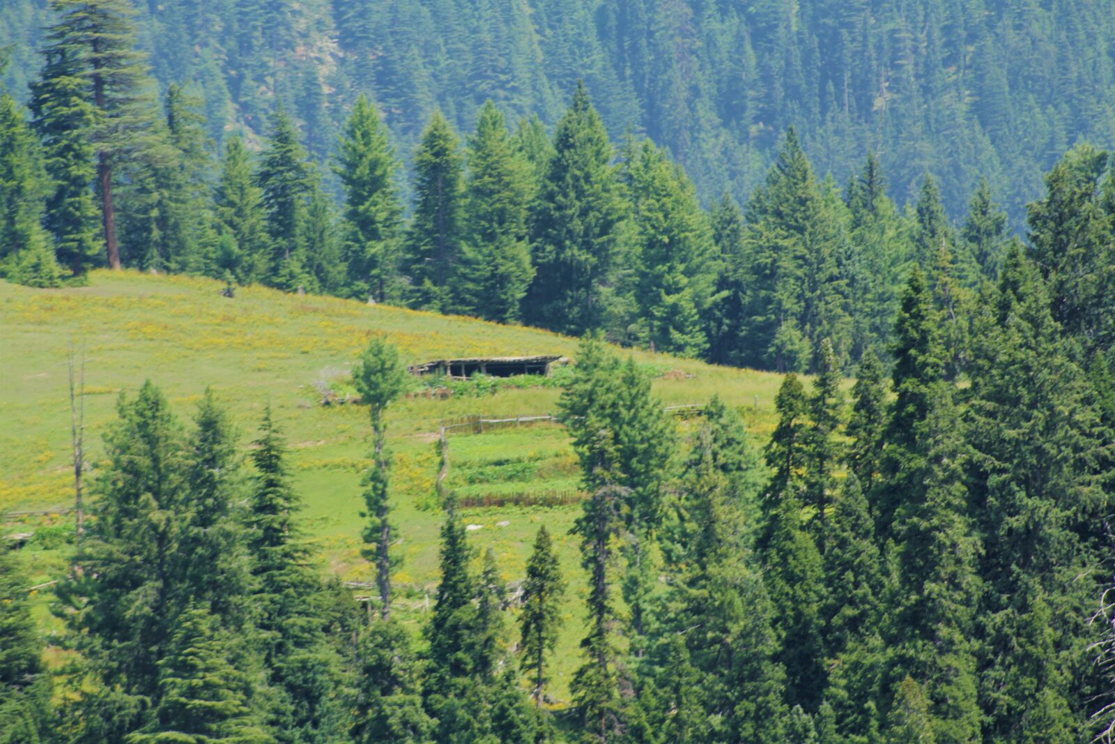 Canon EOS 550D (EOS Rebel T2i / EOS Kiss X4) sample photo. Kumrat, jihazabanda, pakistan photography