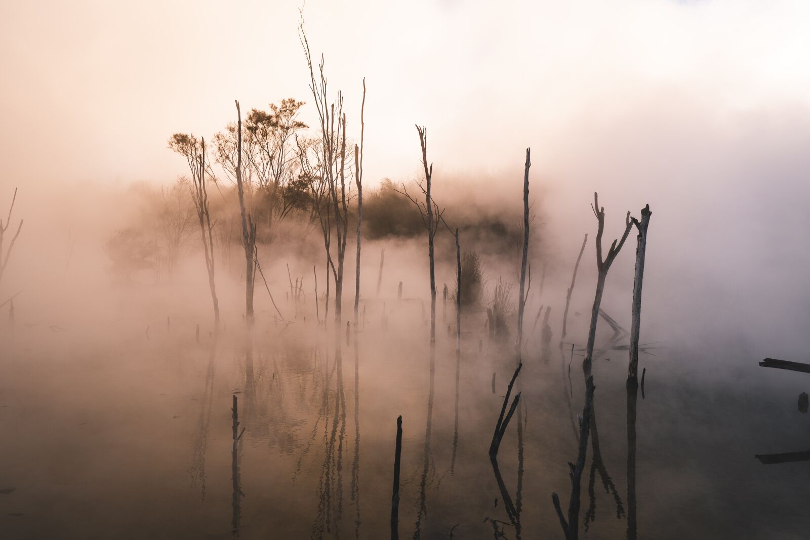 Sigma 16mm F1.4 DC DN | C sample photo. Water, sunset, trees photography