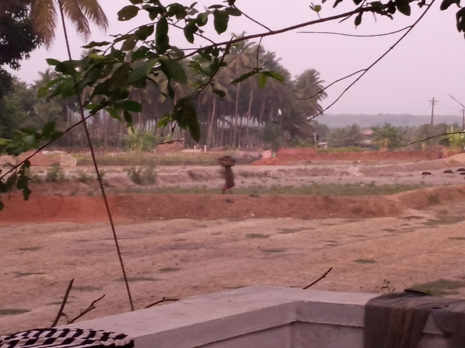 INFINIX MOBILITY LIMITED Infinix X650C sample photo. Tit tok, indian village photography