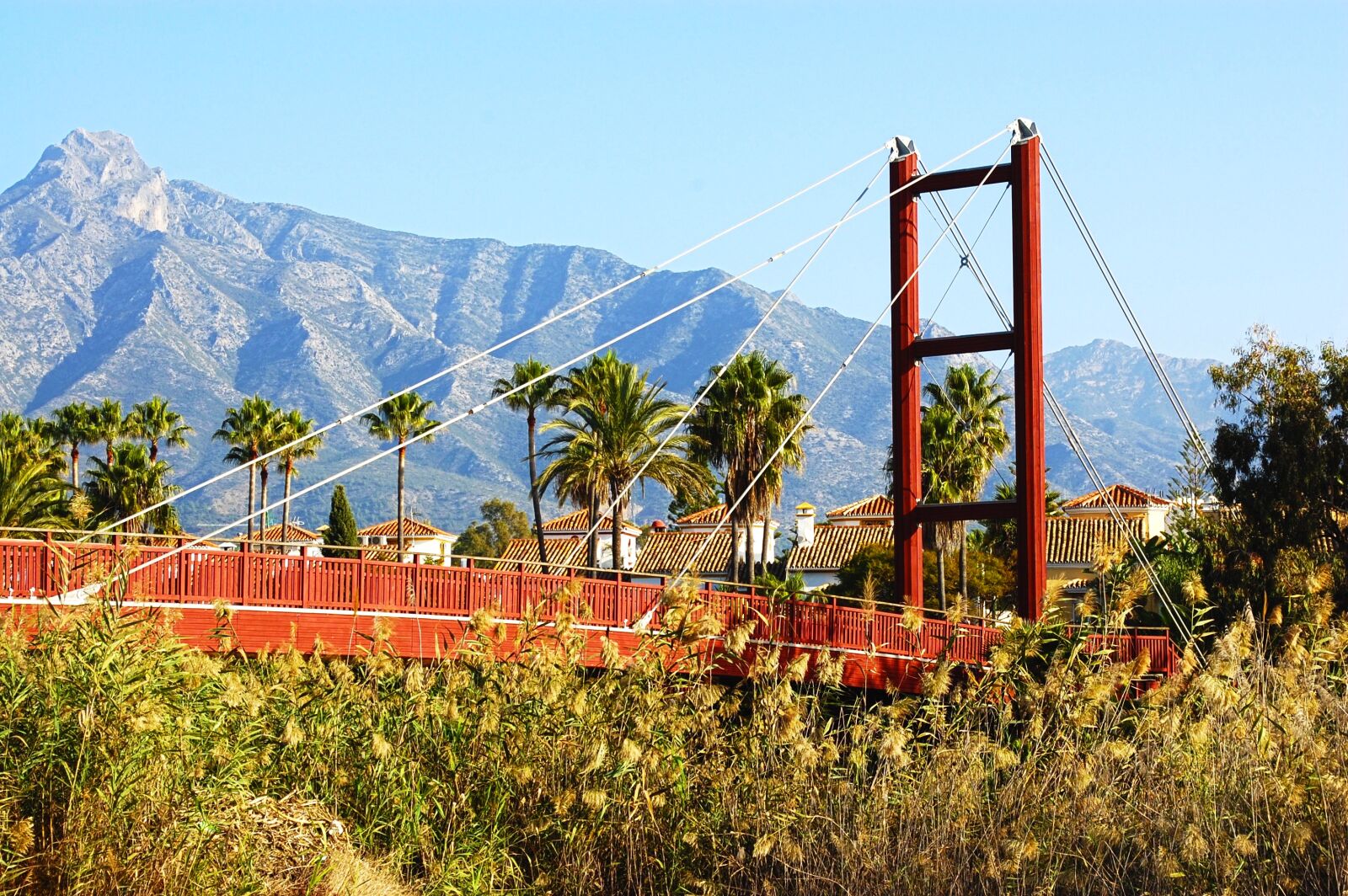 Nikon D40 sample photo. Marbella, andalusia, malaga photography