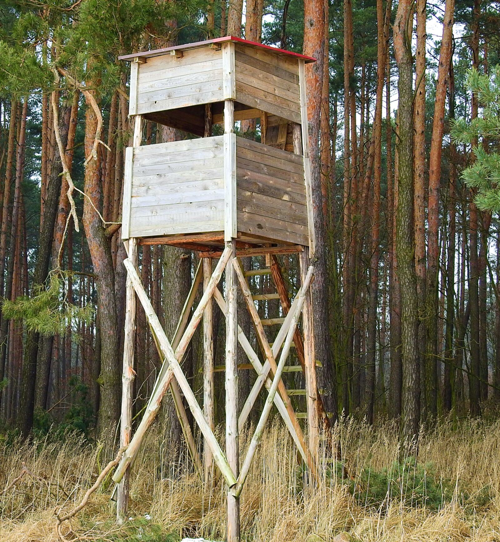Nikon Coolpix P900 sample photo. Hunting pulpit, forest, lookout photography