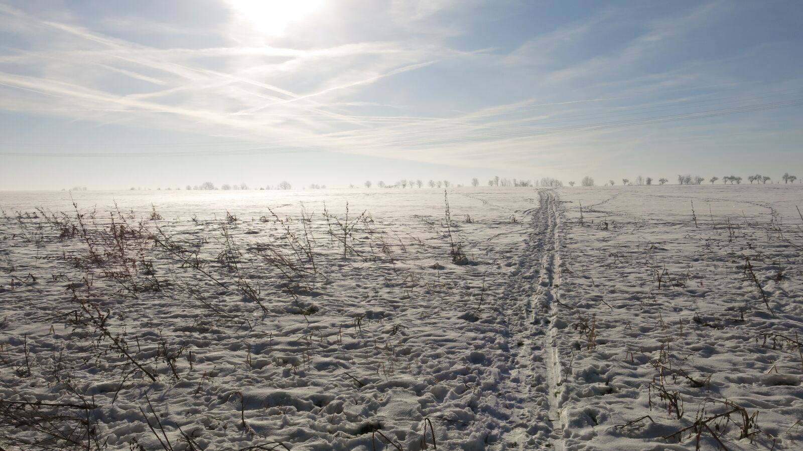 Canon PowerShot G15 sample photo. Trace, cold, wintry photography