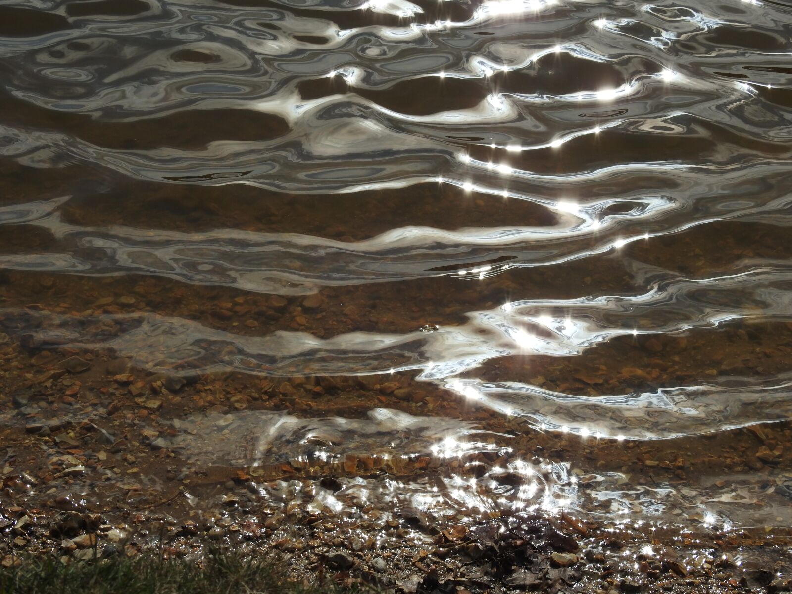 Nikon Coolpix P900 sample photo. Pond, water, lake photography