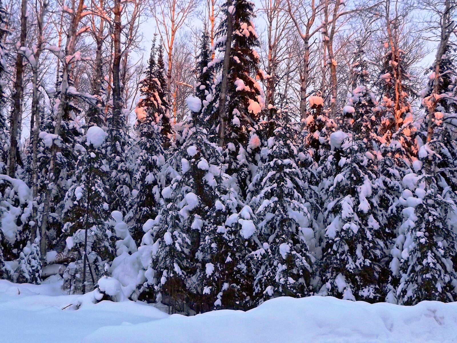 Fujifilm FinePix S8600 sample photo. Winter, snow, dawn photography