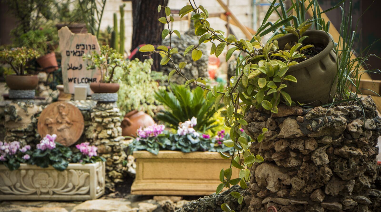 Canon EOS 650D (EOS Rebel T4i / EOS Kiss X6i) sample photo. Israel, israeli, joppa photography