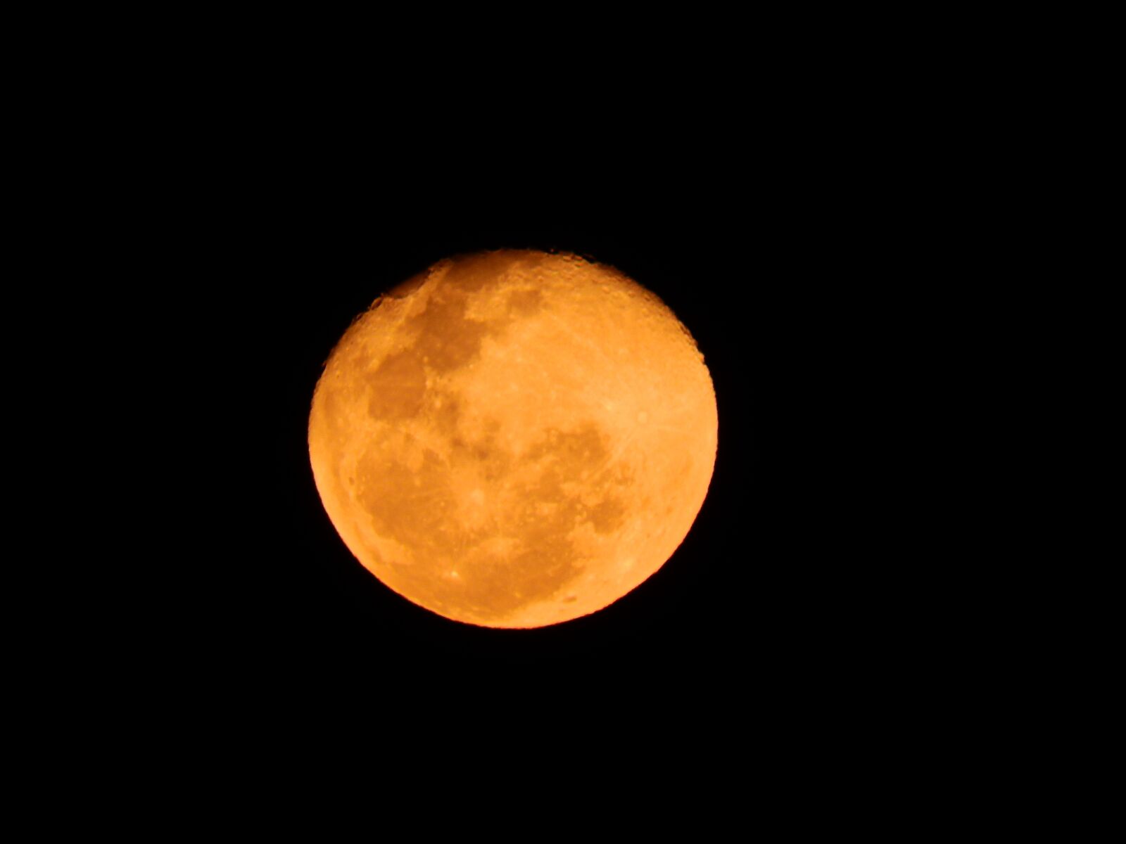 Nikon Coolpix P610 sample photo. Red moon, moon strawberry photography