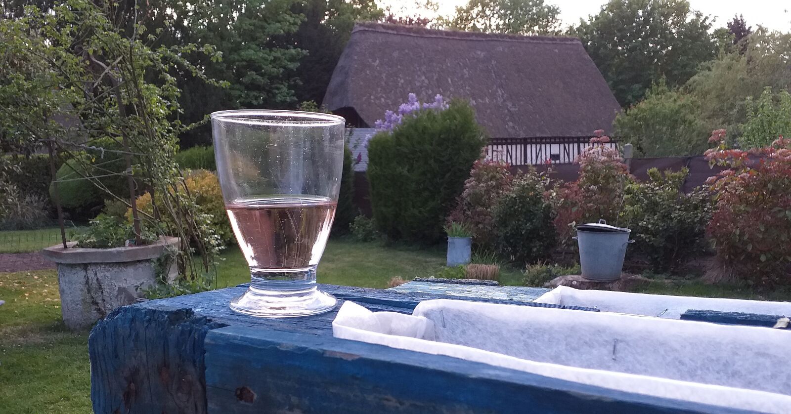 Samsung Galaxy J6+ sample photo. Wine, rose, friendship photography