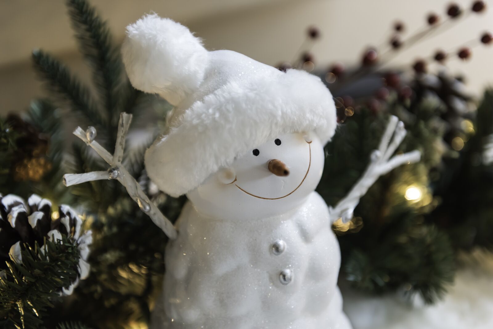 Nikon D810 sample photo. Winter, snowman, frosty photography